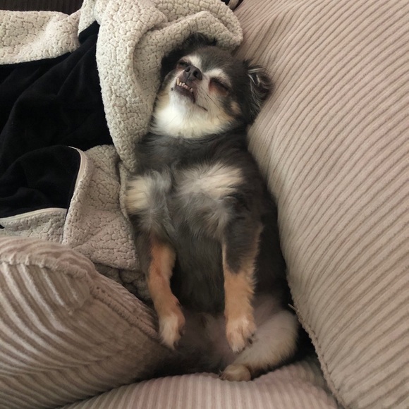 MAKE ME AN OFFER! ππΌππΌππΌ - Picture 1 of 1